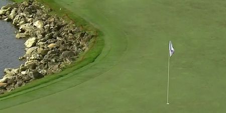 VIDEO: Brandt Snedeker used up his entire year’s worth of luck with this shot