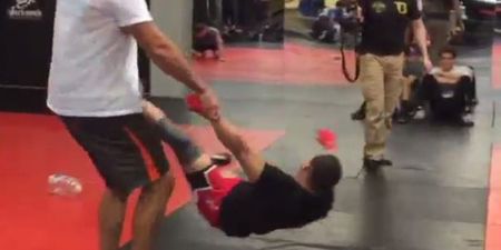 Video: Andrei Arlovski and John Dodson show why Jackson’s MMA fighters are always injured