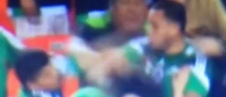 VINE: Punches thrown as Mexico supporters clash in the stands at supposed friendly game