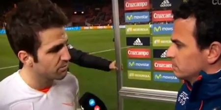 VIDEO: Cesc Fabregas to reporter after Netherlands game: “What a nerve you have”
