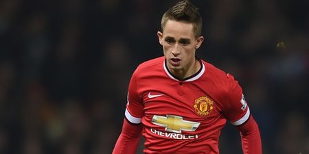 TWEETS: Adnan Januzaj joined Twitter and the abuse started early