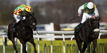 Gif: Many Clouds celebrates winning the Grand National by headbutting someone