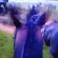 Video: Incredibly tense POV footage shows Irish jockey fall at Aintree