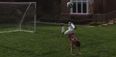 Video: Robin Van Persie’s son pulls off great scorpion kick trick shot
