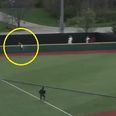 VIDEO: College baseball player flips over wall to produce the most outrageous home run-robbing catch