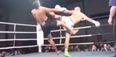 Video: Perfectly timed spinning heel kick might just be the knockout of the year so far