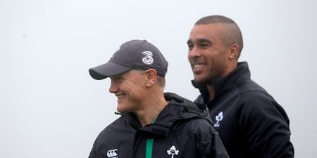 Simon Zebo: ‘Joe didn’t want to dig the knife into me when I was dropped’