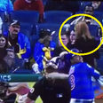 Vine: Woman released from hospital after being hit in the head with baseball