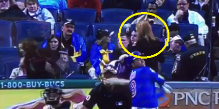 Vine: Woman released from hospital after being hit in the head with baseball