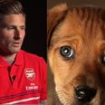VIDEO: Barking dog gives Oliver Giroud a ‘ruff’ time of by interrupting interview