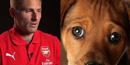 VIDEO: Barking dog gives Oliver Giroud a ‘ruff’ time of by interrupting interview