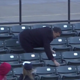 Video: This fan caught a baseball, but lost all of his dignity