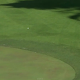Video: English golfer comes with 8 inches of a hole in one on a par 4