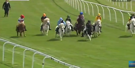Video: This shetland pony race from Bath racecourse is one of the strangest things we’ve ever seen