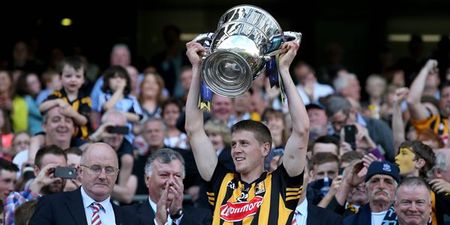 Pic: A handy guide to the Leinster hurling championship fixtures