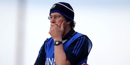 Laois hurling puts Cheddar back on the menu as manager returns