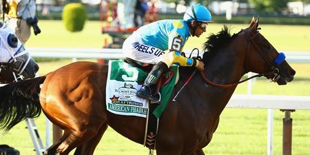 Video: American Pharoah would have been no match for Secretariat