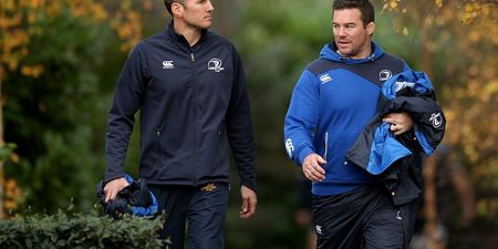 Leinster have confirmed two new additions to their coaching staff