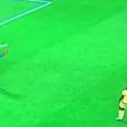 Vine: Jamaican goalkeeper blunder leads to incredibly odd goal at Copa America