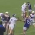 VIDEO: Horrific scenes from Waterford hurling match as mass brawl erupts on the field (NSFW)