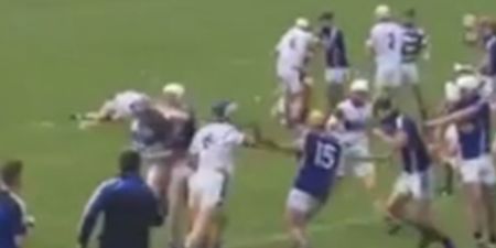 VIDEO: Horrific scenes from Waterford hurling match as mass brawl erupts on the field (NSFW)
