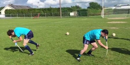 VIDEO: Laois GAA team try the dizzy challenge with hilarious consequences
