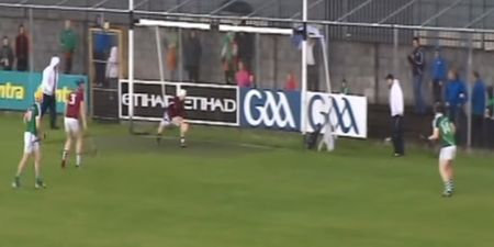 Poll: New video evidence suggests that the disputed Limerick goal did go into the net after all