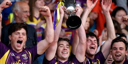 The best reaction to Wexford’s historic hammering of Kilkenny last night