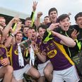 Three Wexford Under-21 players we can’t wait to see more of this summer
