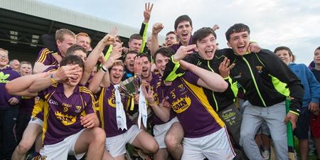 Three Wexford Under-21 players we can’t wait to see more of this summer
