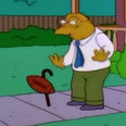 Hans Moleman made a bit of a cameo at the Ashes earlier
