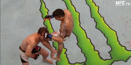 Vine: Thomas Almeida brutally knocks out Brad Pickett with phenomenal flying knee