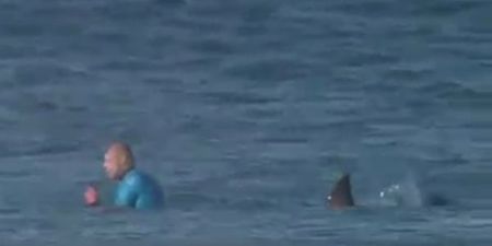 VIDEO: Surfer punches shark to avoid leg being chewed off on live TV
