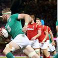 Player ratings for the Irish demolition team that blew Wales to smithereens