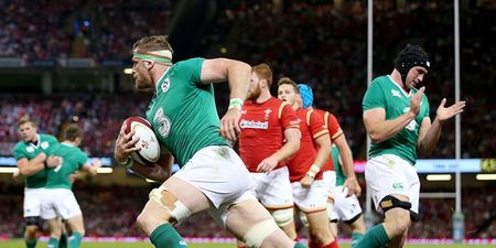 Player ratings for the Irish demolition team that blew Wales to smithereens