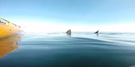 WATCH: Dubliner has extremely close encounter with shark at Malin Head