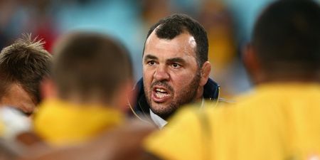Michael Cheika walks the walk in Australia’s punishing World Cup work-out