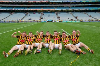 As expected, Kilkenny players dominate The Sunday Game Team of the Year