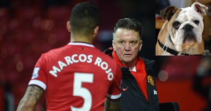 Marcos Rojo is a brave boy for claiming that Louis van Gaal “has a bulldog face”