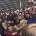 VIDEO: QPR fans’ reaction to getting hammered 4-0 is absolutely gas (NSFW)