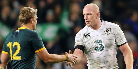 Paul O’Connell pays classy tribute to Springboks’ gigantically unlucky captain