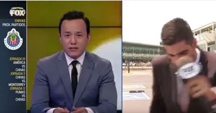 VIDEO: Football reporter gets hit by a car live on air… luckily it had no real speed