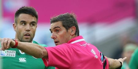 Joe Schmidt may not be too pleased about the referee for Sunday’s quarter-final with Argentina