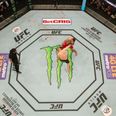 COMPETITION: Win tickets for you and two buddies to the sold-out UFC Dublin