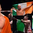 We look at challenges facing Irish fighters at UFC Dublin to see if they can be hometown heroes