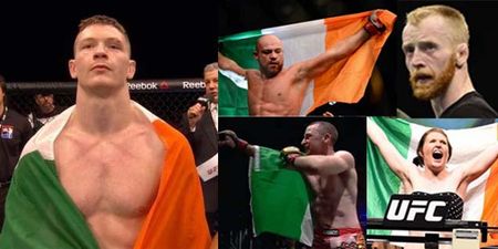 We look at challenges facing Irish fighters at UFC Dublin to see if they can be hometown heroes