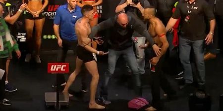 VIDEO: Norman Parke brought a whole new meaning to “all kicking off” at Friday’s weigh-ins