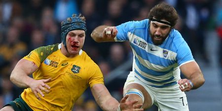 VIDEO: Two days on from Argentina match and David Pocock’s face is still in ribbons