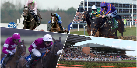 Fairyhouse’s winter festival is the perfect early opportunity to mark your Cheltenham card