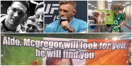Our favourite Conor McGregor flag from UFC 189 has just arrived in Las Vegas